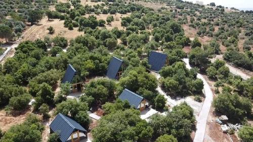 Nature Forest Cabins