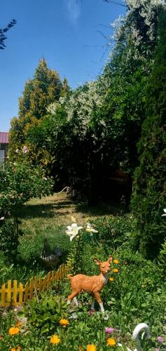 Бархатный Сезон, Cholpon-Ata (foto 7)