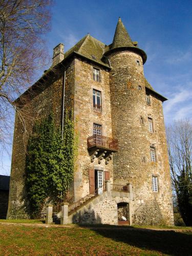 Chateau de Cologne - Location saisonnière - Naucelles