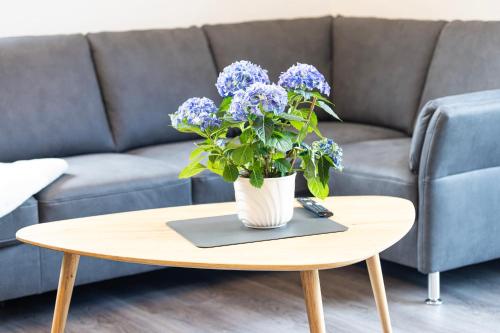 Ferienresidenz Hunsrück Hochwald (Ferienresidenz Hunsruck Hochwald) in Kempfeld