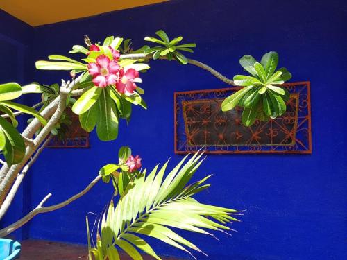 MERMAID HOUSE, apartment in tropical garden, wifi, central CANOA QUEBRADA