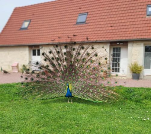 La Ferme de Frévan