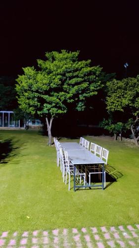 Luxury tent cottages between nature