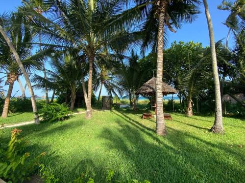 Dolphin House, Galu Beach, Kenya