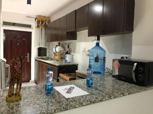 Two Bedrooms Furnished Apartment in Nakuru in 納庫魯