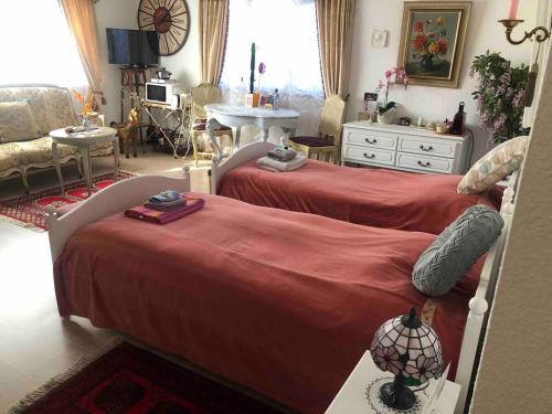 Double room in nice house near the forest (basement floor)