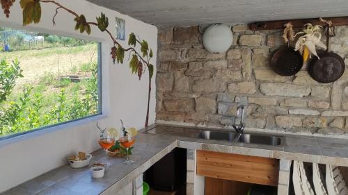 virtuve, La casa di Vic in Levice