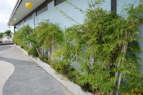 アヤ ブティック ホテル パタヤ20