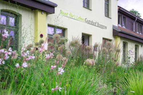 Ferienwohnungen - barrierefrei - im sanierten Gutshof