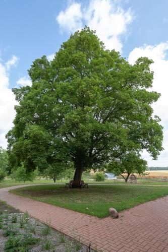 Ferienwohnungen - barrierefrei - im sanierten Gutshof