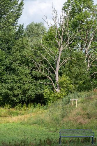 Ferienwohnungen - barrierefrei - im sanierten Gutshof