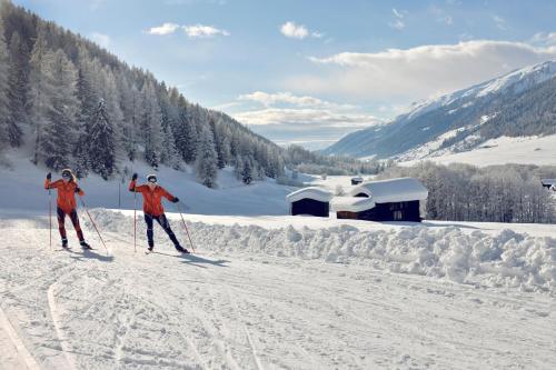 Chaldemon in Fiesch, Schweiz