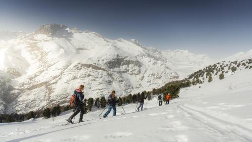 Chaldemon in Fiesch, Schweiz