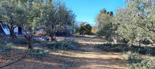 Adorable studio with farm view in Ma'an