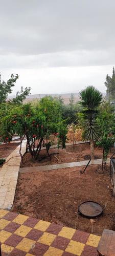 Garden, Adorable studio with farm view in Ma'an