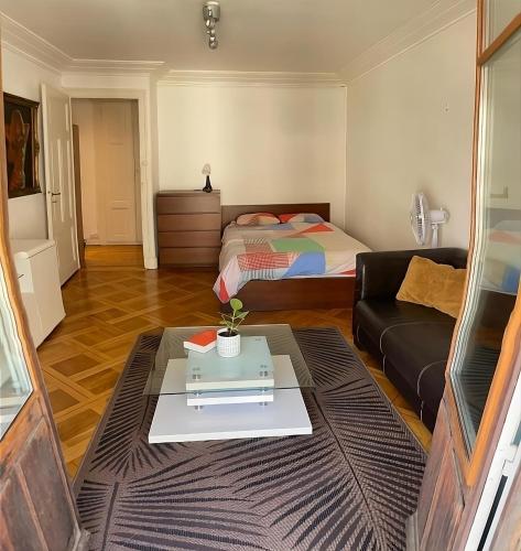  Spacious studio with balcony in Genf