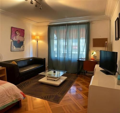  Spacious studio with balcony in Genf