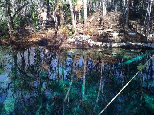 Exotic Eco House in Jungle with Private Cenote