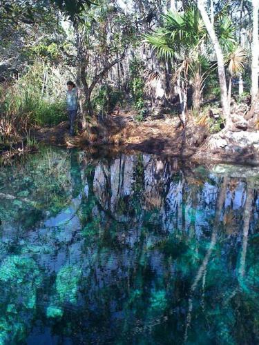 Exotic Eco House in Jungle with Private Cenote