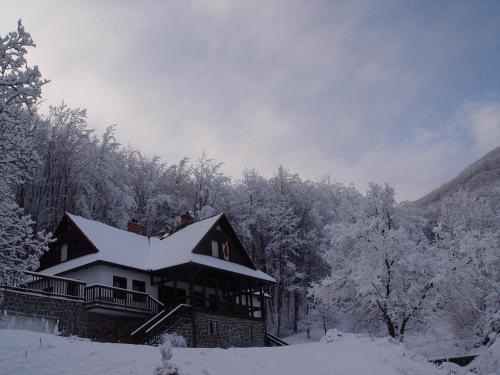 ทัศนียภาพภายนอกโรงแรม, Villa Szalamandra - az Erdoszele in กาลยาเทโต