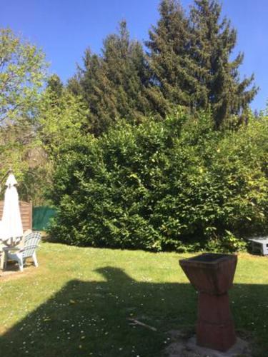 Gite cosy proche Fontainebleau et foret