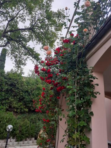  Casa Vacanza Relax La Terrazza in Perugia