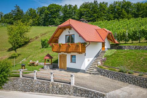 Vineyard Cottage Krivic - Happy Rentals