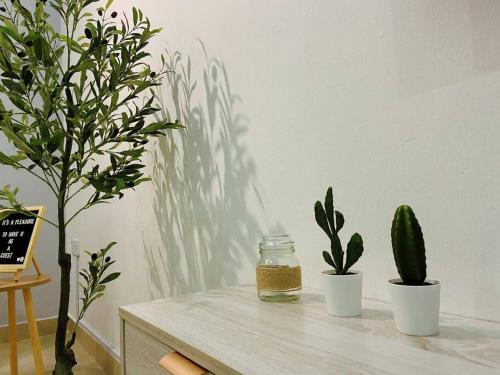 Warm and Cozy Warm and Cozy