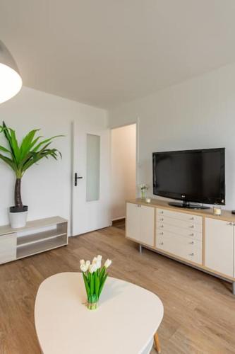 Chatillon - Spacious and bright apartment near Paris