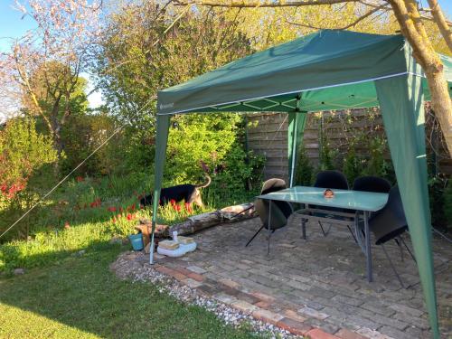 Iekārtas, Villa Kunterbunt: Urgemütlich und fast perfekt (Villa Kunterbunt: Urgemutlich und fast perfekt) in Hohen Wangelin