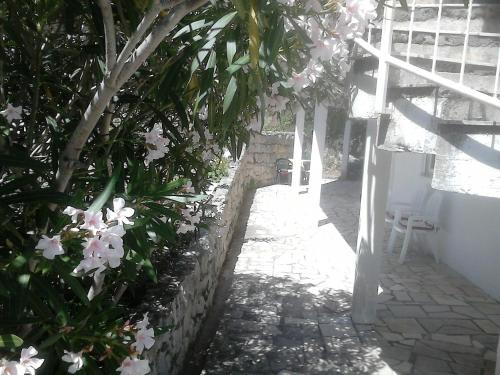 Anamarija's Apartments - image 10