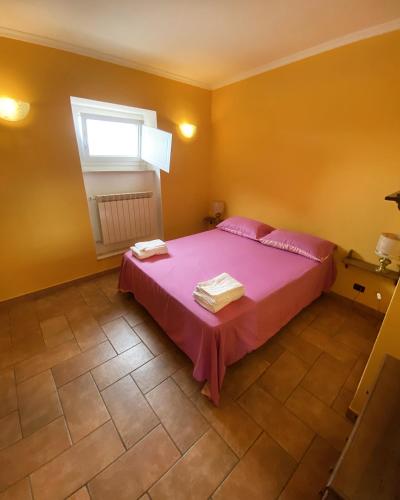 Casa del castello in Bellegra
