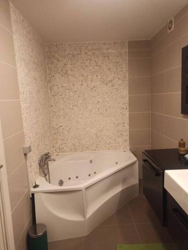 Lux & Cozy Apt + Garden +Jaccuzi, Antverpy (fotografie 2)