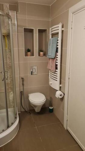 Lux & Cozy Apt + Garden +Jaccuzi, Antverpy (fotografie 9)