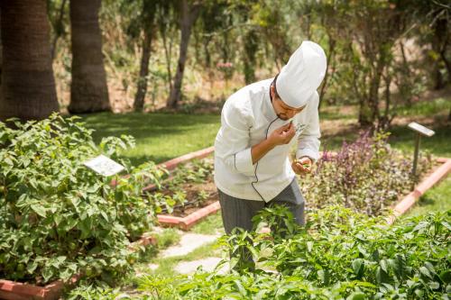 Robinson Club Sarigerme Park - image 11