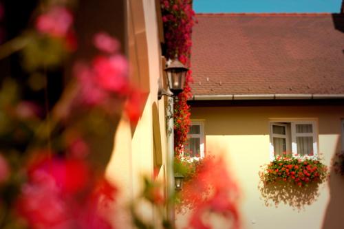  Némethy Panzió, Pension in Debrecen