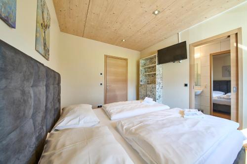 Holiday Penthouse Holleis by HolidayFlats24 - image 12