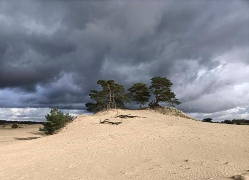Surrounding environment, Gastenverblijf op unieke locatie De Kronkel op de Veluwe in Hoog-Soeren
