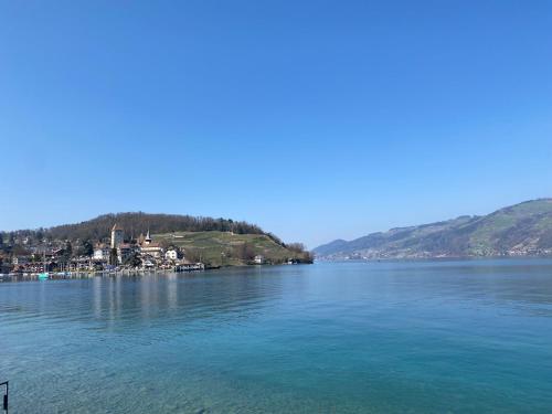 ABZ Spiez Hotel Seaside - image 8