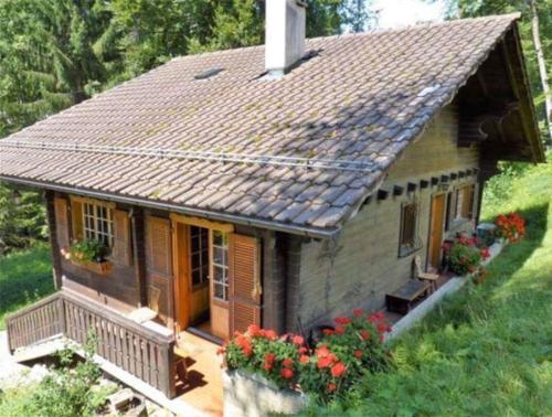 Chalet in Lausanne on edge of woods with river gîte à louer Lazio