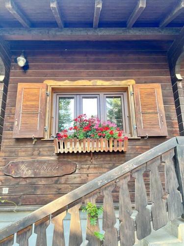 Chalet in Lausanne on edge of woods with river, Lausanne (photo 4)