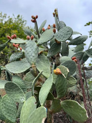 Viewtyhouse Viewtyhouse