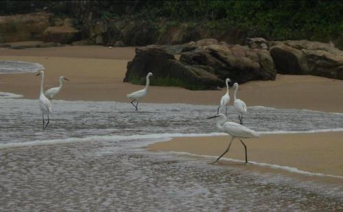 Karikkathi Beach House