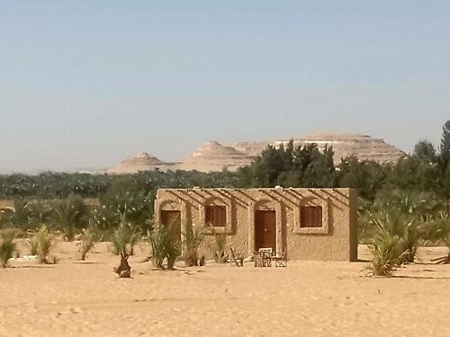 Hayaat siwa hot spring Room Type - Budget Double Room
