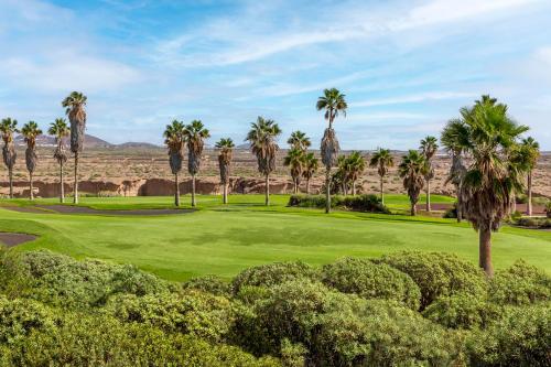 Royal Tenerife Country Club By Diamond Resorts - image 3