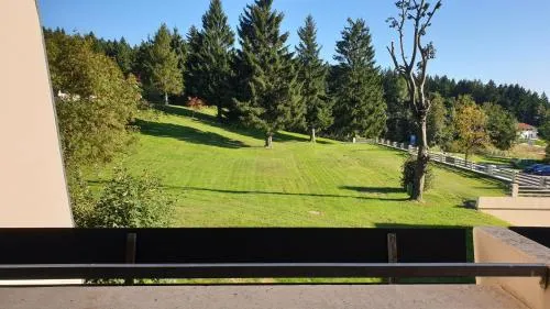 Apartment mit 2 Zimmer im Bayerischen Wald in Sankt Englmar, Deutschland