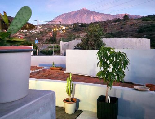 Casa Salvia - Canarian Holiday Home - Hosted