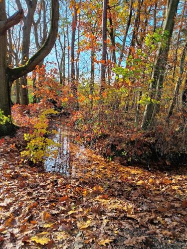 Molière (Moliere) in 拉娜肯