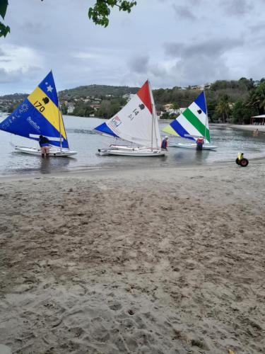 Bougainvilliers in Schœlcher