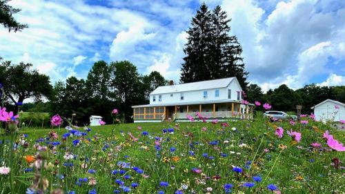 French Woods Farmhouse Bed & Breakfast